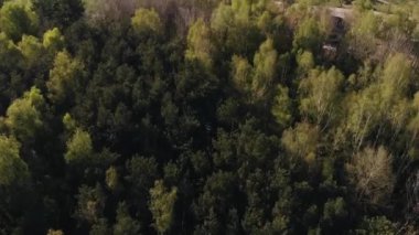 Ormanın ve banliyölerdeki özel çiftlik evlerinin havadan görüntüsü ve ufuktaki çok katlı binaların blokları.