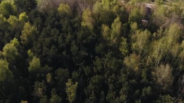 Αεροφωτογραφία του δάσους και των ιδιωτικών αγροκτημάτων στα προάστια και με πολυώροφα κτίρια στον ορίζοντα — Αρχείο Βίντεο