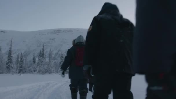 Μια ομάδα τουριστών κατά τη διάρκεια χειμερινής πεζοπορίας πηγαίνει κατά μήκος ενός χιονισμένου δρόμου προς το δάσος και τα βουνά. Πίσω όψη — Αρχείο Βίντεο
