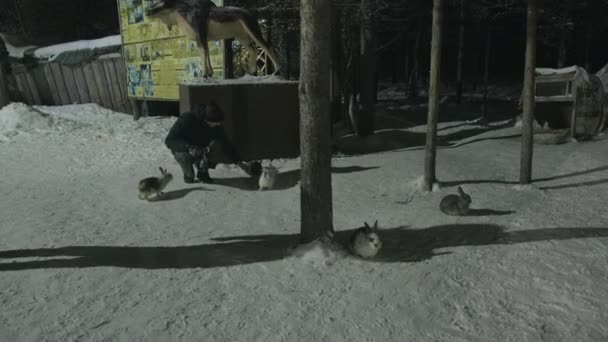 Eine Herde Kaninchen läuft frei auf dem Dorfplatz im Schnee in der Nähe ihrer Käfige herum und ein Mann streichelt sie — Stockvideo