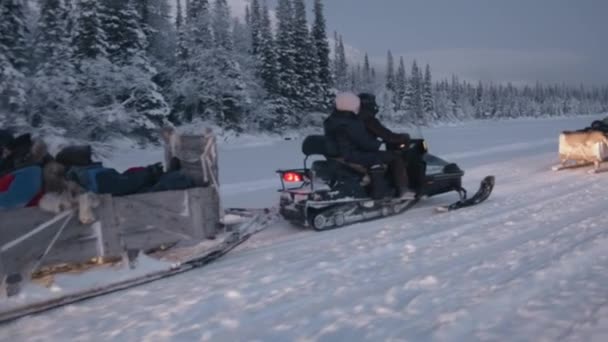 Przejażdżka skuterem śnieżnym z drewnianymi przyczepami saneczkowymi z grupami turystów po zaśnieżonej drodze wzdłuż lasu i gór — Wideo stockowe