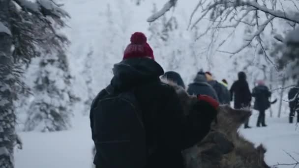 Κατά τη διάρκεια μιας χειμερινής πεζοπορίας μια ομάδα τουριστών περπατά κατά μήκος ενός μονοπατιού στο δάσος και ένας άνθρωπος φέρει γούνινο δέρμα. Πίσω όψη. Αργή κίνηση — Αρχείο Βίντεο