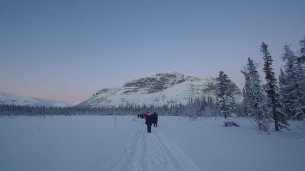 Extreme winterreizen. Een groep toeristen loopt langs een besneeuwde weg. Achteraanzicht — Stockvideo