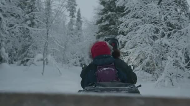 Región de Murmansk, Rusia - 10 de enero de 2021: Los turistas montan una moto de nieve entre los árboles nevados. Vista trasera. pov de mano de la cámara — Vídeo de stock