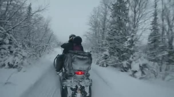 Os turistas montam uma moto de neve entre as árvores nevadas. Vista traseira. Pontos de mão tiro da câmera — Vídeo de Stock