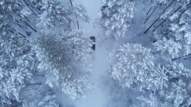 Karlı bir ormanda kır yolu boyunca giden bir arabanın çarpıcı üst görüntüsü. Kış yolculuğu