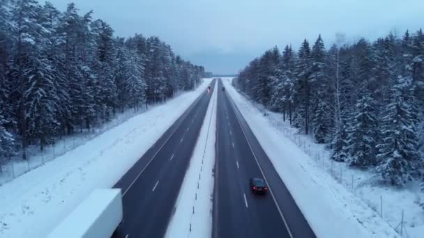 Drone spara auto su un'autostrada con direzione di guida separata con una foresta innevata sul lato della strada — Video Stock