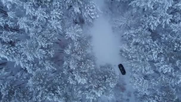 Drone tiroteio de um carro dirigindo ao longo de uma estrada branca em uma floresta nevada. Conceito de viagem de inverno — Vídeo de Stock