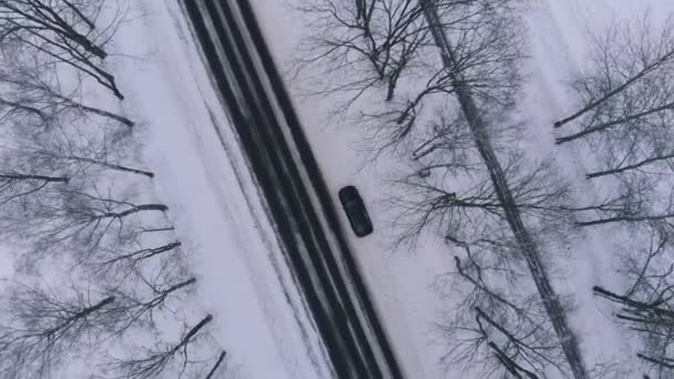 Vista aérea de un coche de pie en el lado de la carretera de invierno con árboles en la nieve a ambos lados de la carretera — Vídeo de stock