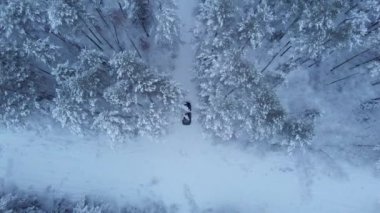 Karlı bir ormanda beyaz bir yol boyunca giden bir arabanın drone saldırısı. Kış yolculuğu konsepti