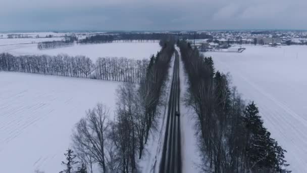 Drone sparatutto in autostrada tra campi innevati e alberi e una piccola città all'orizzonte — Video Stock