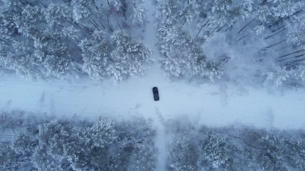 The car stands in the center of the intersection of two roads in a winter forest. Aerial view. Winter travel concept — ストック動画