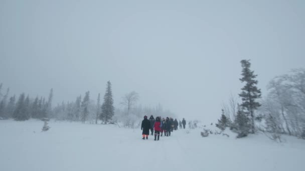 Regio Moermansk, Rusland - 10 januari 2021: Een groep toeristen gaat langs de weg met een besneeuwd bos aan de zijkant. Winterreisconcept — Stockvideo