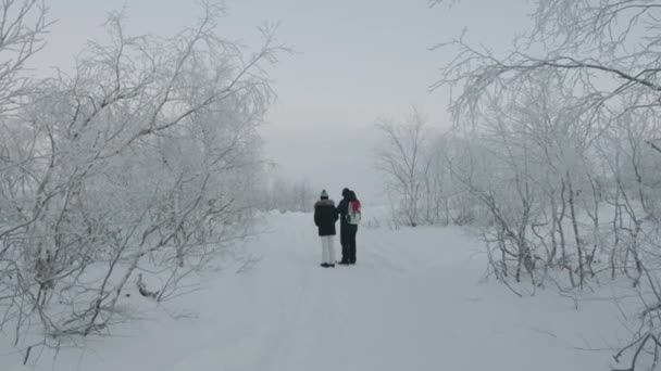 Dwóch turystów stoi na ścieżce wśród zimowego lasu i dyskutuje o czymś — Wideo stockowe