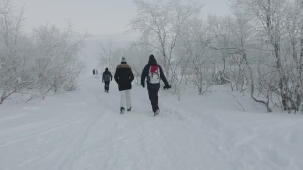 Een groep toeristen gaat langs een pad in een winterbos. Achteraanzicht. Langzame beweging — Stockvideo