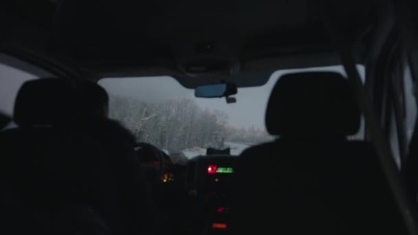 Θέα από το πίσω κάθισμα του συνοδηγού ενός αυτοκινήτου στο δρόμο που περιβάλλεται από χιονισμένα δέντρα. Έννοια χειμερινού ταξιδιού — Αρχείο Βίντεο