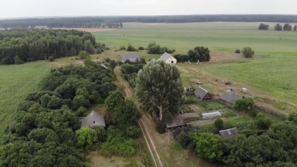 Drone riprese di un bellissimo paesaggio estivo con campi e foreste e villaggio con una strada di campagna — Video Stock