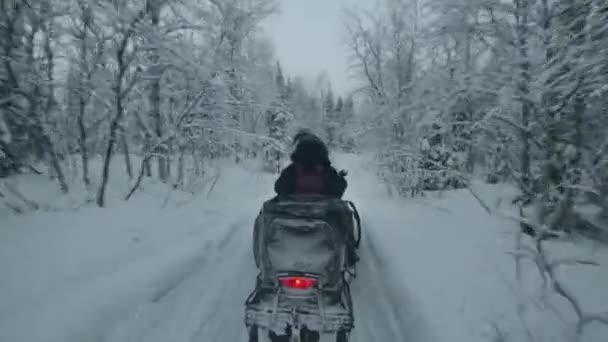 Туристи катаються на снігоході серед снігових дерев. Вид ззаду. Портативний pov знімок камери — стокове відео