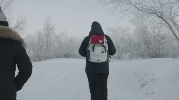 Twee toeristen staan op een pad tussen het winterbos en bespreken iets — Stockvideo