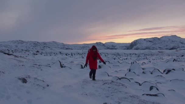 Een jong meisje in een rood jasje gaat bij zonsondergang naar een met sneeuw bedekt rotsachtig veld en zwaait met haar hand. Langzame beweging — Stockvideo