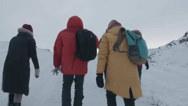 Murmansk região, Rússia - 10 de janeiro de 2021: Um grupo de turistas com mochilas subir o caminho para a rocha coberta de neve. Vista traseira. Movimento lento — Vídeo de Stock