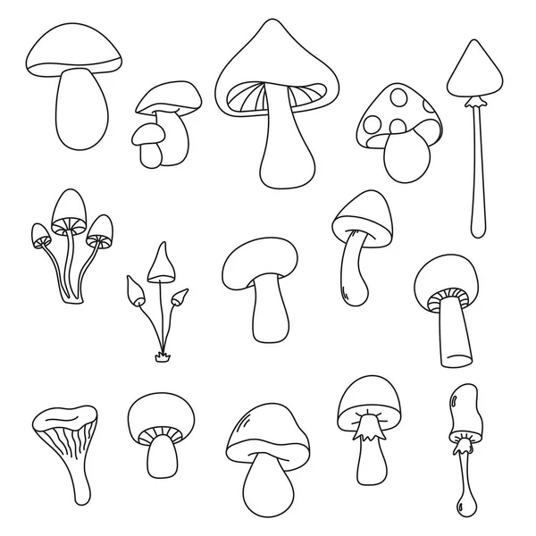 Zehirli ve yenilebilir mantarlar..