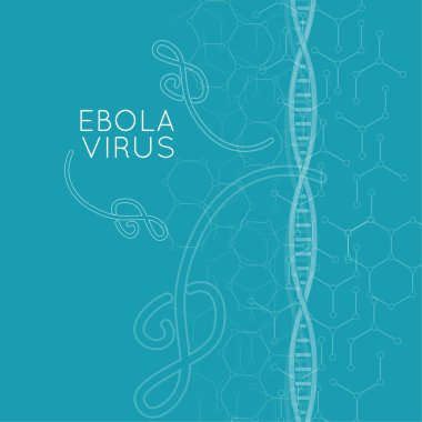 Ebola virüsü.