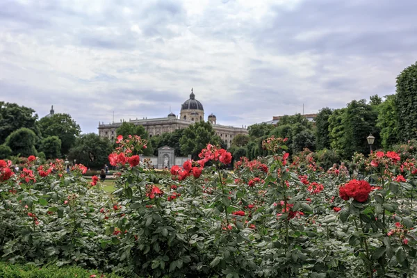 Volksgarten w Wiedniu podczas z Muzeum historii naturalnej — Zdjęcie stockowe