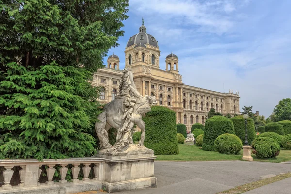 Musée des Beaux-Arts — Photo