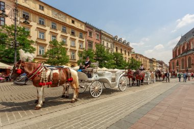 Krakow 'daki ana meydanda at arabaları