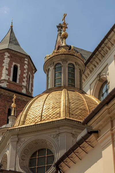 La Basilica Cattedrale dei SS. Stanislaw — Foto Stock