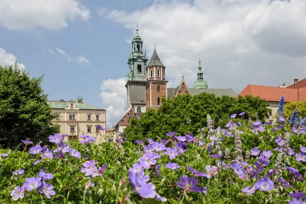 The Cathedral Basilica of Sts. Stanislaw — Stock Photo, Image