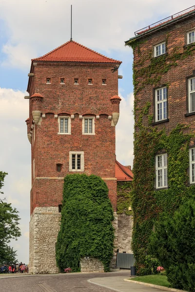 Wawel Kraliyet Kalesi Krakow, Polonya — Stok fotoğraf