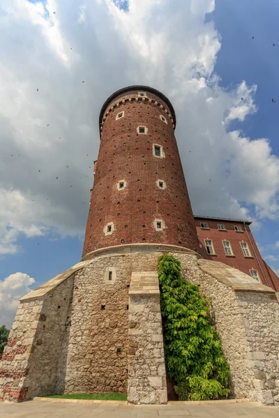 Tour Sandomierska au château royal de Wawel à Cracovie — Photo