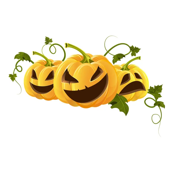 Citrouilles — Image vectorielle