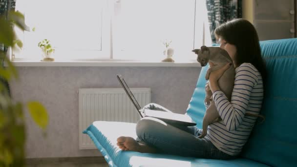 Frau mit Laptop und Sphynx-Katze — Stockvideo