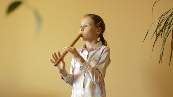 Little girl plays flute — Stock Video