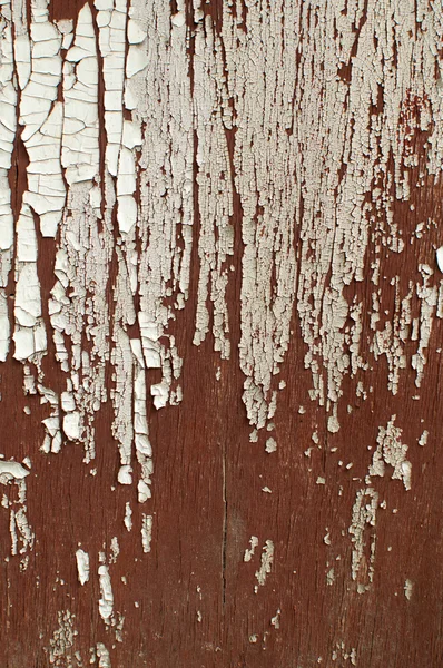 抽象的木制背景 — 图库照片