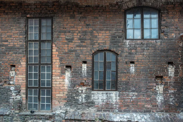 brick wall with windows