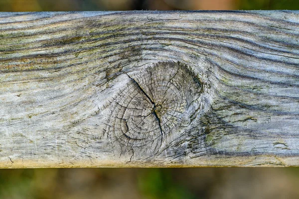 Alte Holz-Textur für Web-Hintergrund — Stockfoto