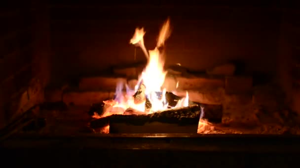 Feu dans la cheminée. Gros plan de bois de chauffage brûlé par le feu — Video