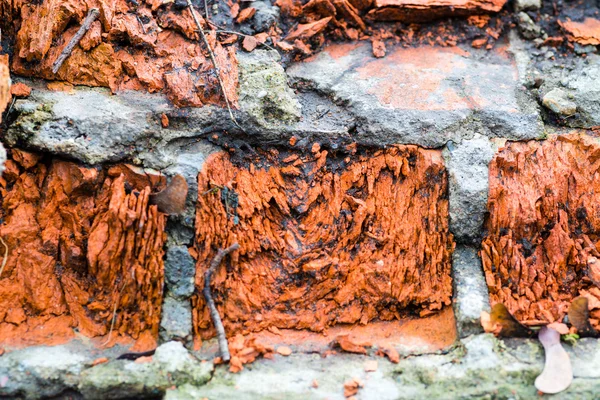 Eski tuğla duvar dokusunun arkaplanı — Stok fotoğraf