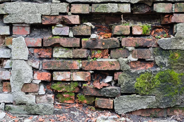 Stone wall texture for background — Stock Photo, Image