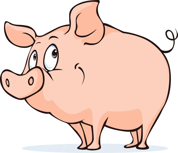 白い背景に分離されたかわいいベクター豚 — ストックベクタ