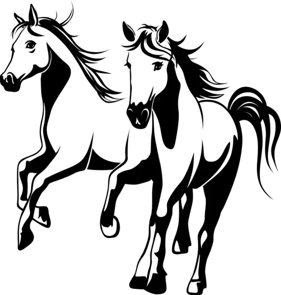 Wilde paarden - zwart-wit vectorillustratie — Stockvector