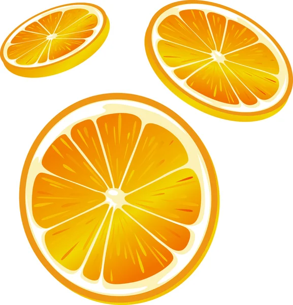 Orangenscheibe Illustration - isoliert auf weißem Hintergrund — Stockvektor