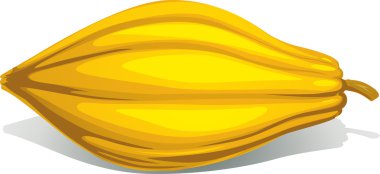 Beyaz arka plan üzerinde izole kakao pod