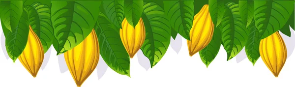 Cocoa pod and leaf - the upper bar- vector illustration — Stock Vector