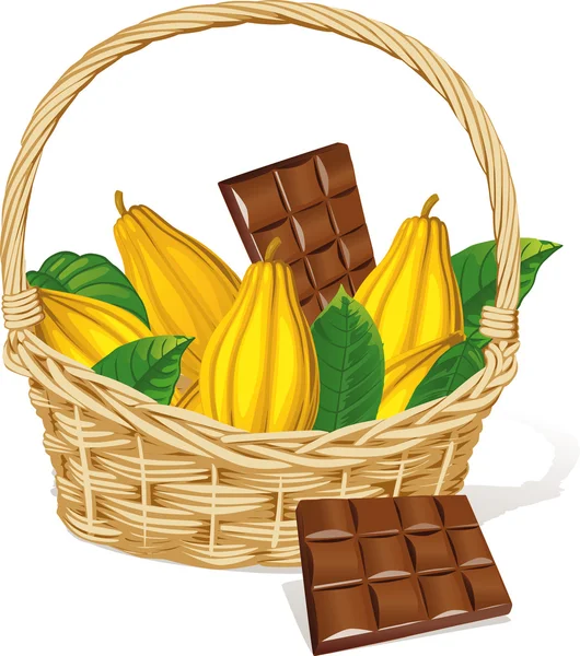 Cesta llena de vaina de cacao y chocolate aislado sobre fondo blanco — Vector de stock