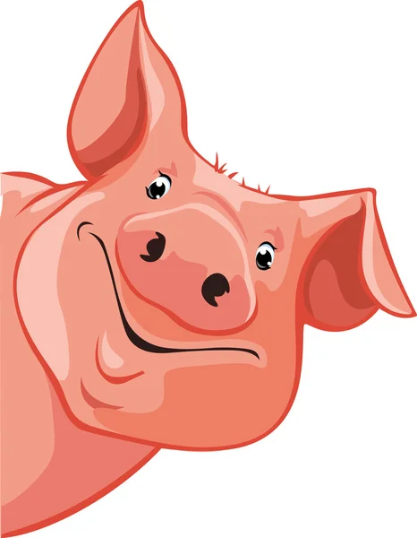 Cerdo asomándose desde la izquierda - ilustración vectorial — Vector de stock